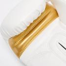 Leone  X IUTER GNTIA PuGAXIAS -white